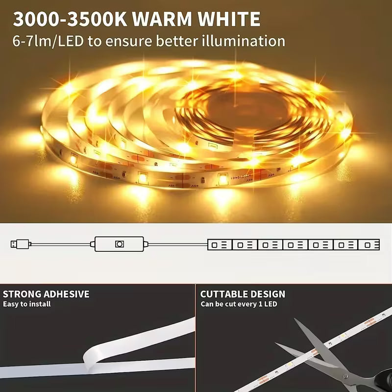 Indoor LED Lamp