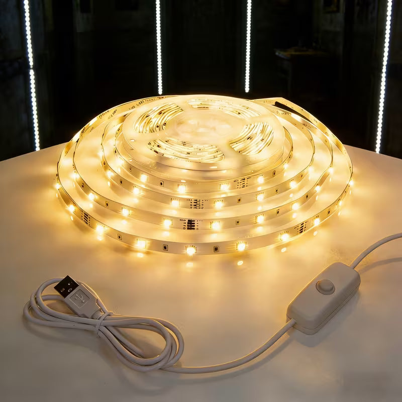 Indoor LED Lamp